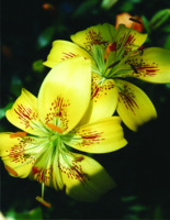 Foto: Gerhard Steinbrück